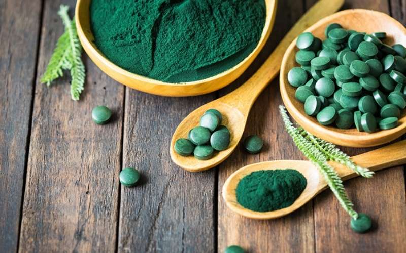 Microalghe Dingeo spirulina