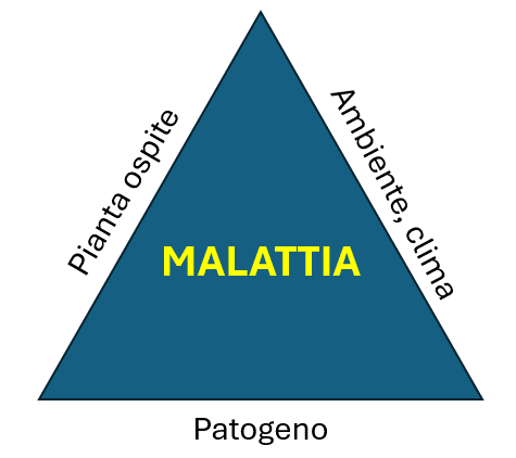 Triangolo della malattia